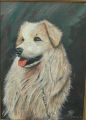 Le chien - ANCIENS TABLEAUX